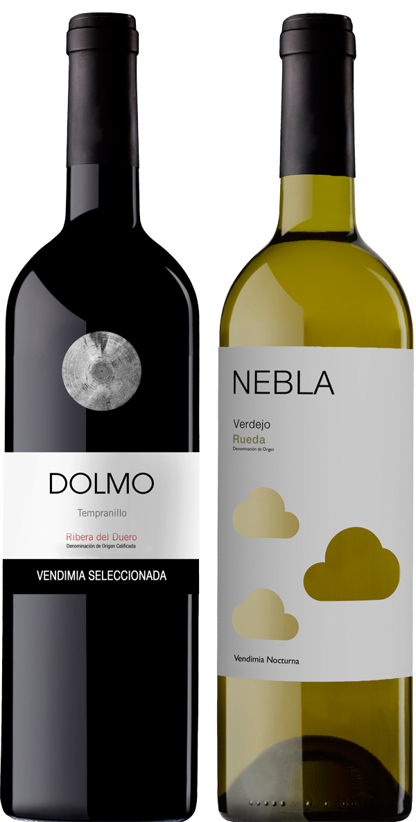 vinos vicente gandia rioja rueda